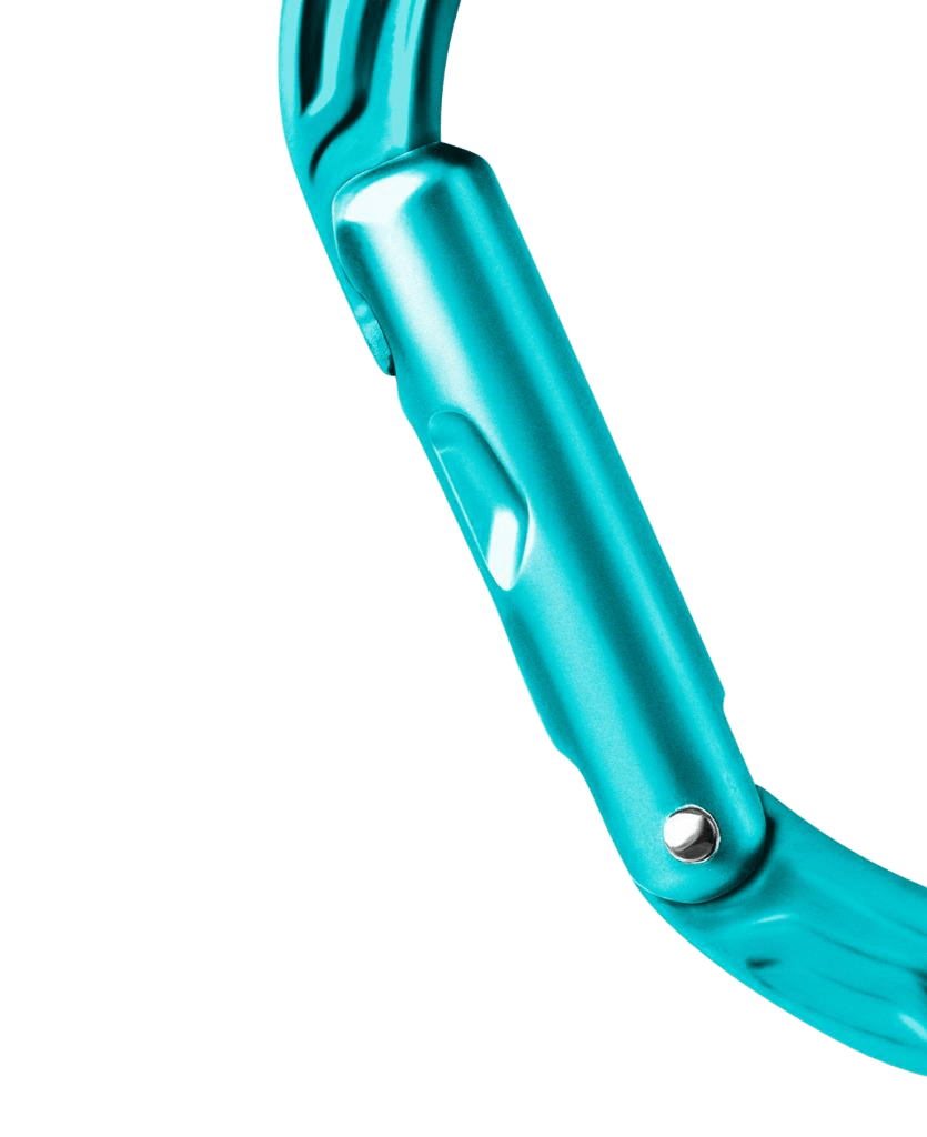 Edelrid Kiwi Carabiner