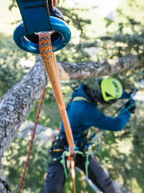 Edelrid Woodpecker 11,7mm Rope