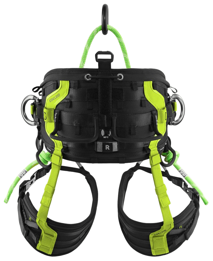 Edelrid TreeRex II Harness