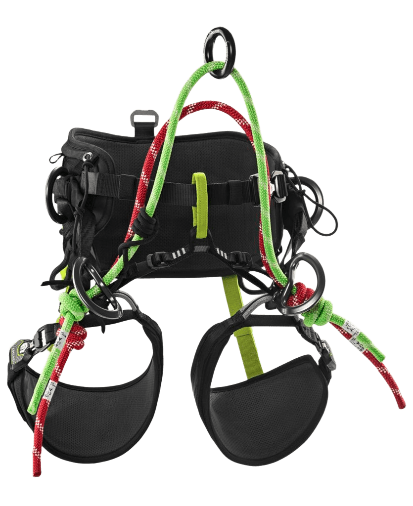 Edelrid TreeRex II Harness