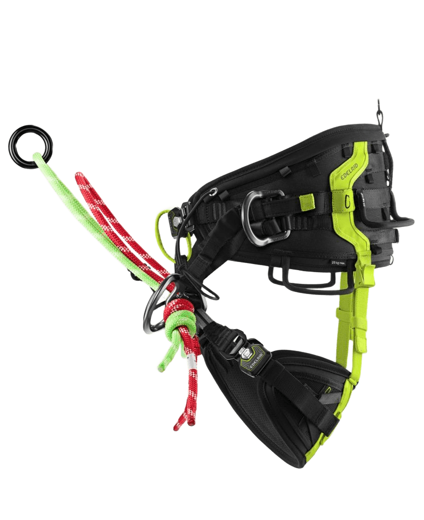 Edelrid TreeRex II Harness