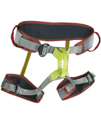 Edelrid Zack Gym Harness