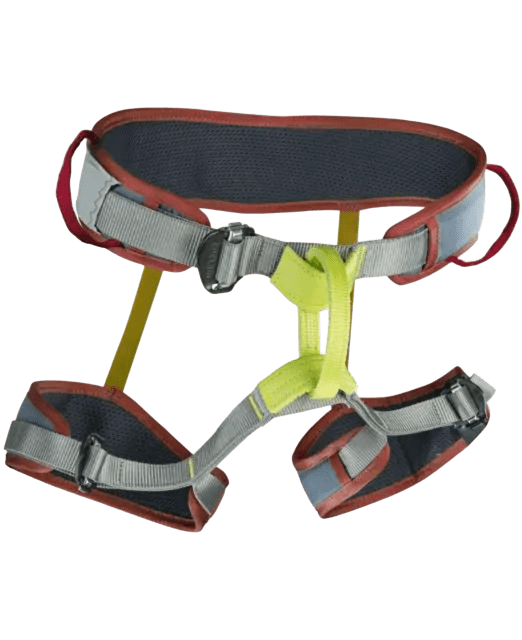 Edelrid Zack Gym Harness