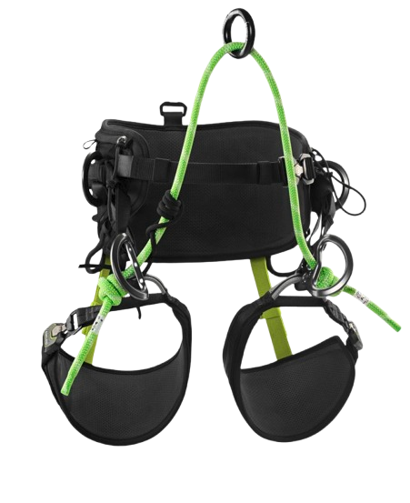 Edelrid TreeRex II Harness