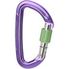 Wild Country Session Screwgate Carabiner