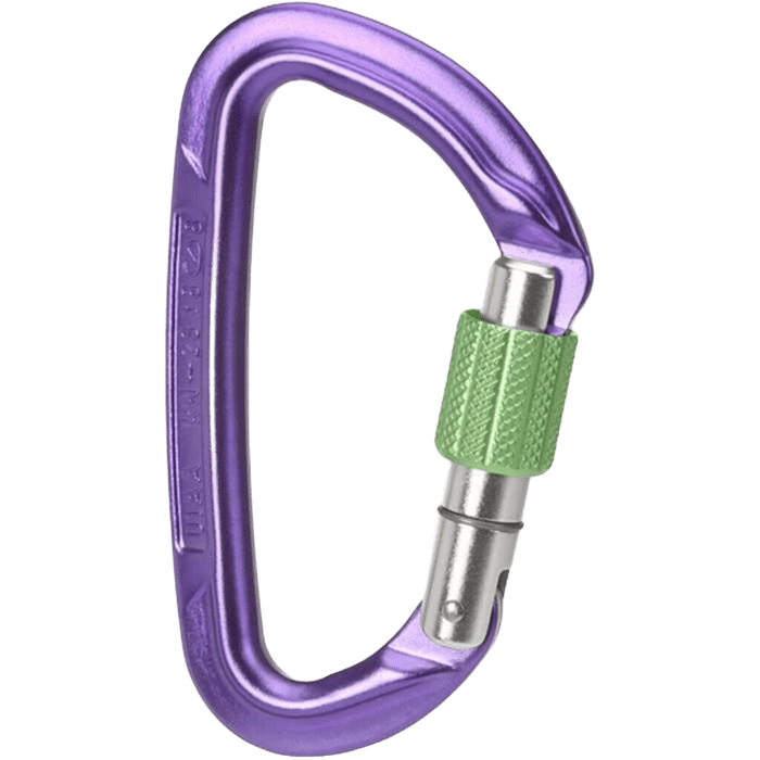 Wild Country Session Screwgate Carabiner