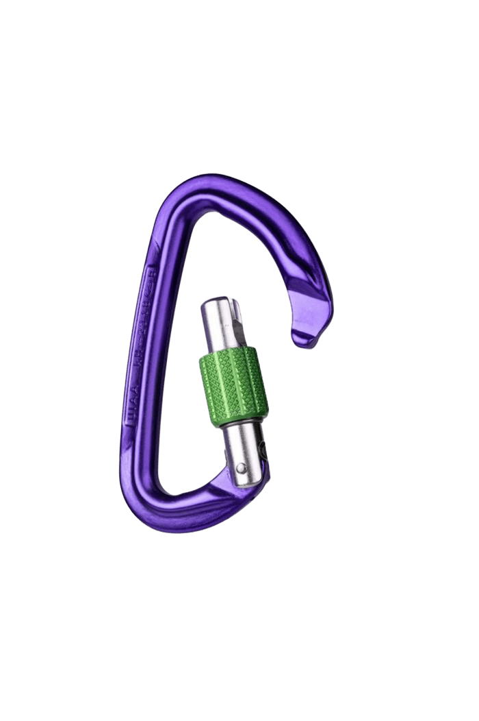 Wild Country Session Screwgate Carabiner