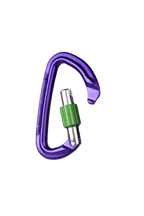 Wild Country Session Screwgate Carabiner