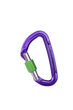 Wild Country Session Screwgate Carabiner