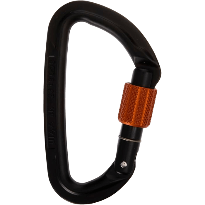 Wild Country Session Screwgate Carabiner
