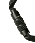 Edelrid D-Classic 3000 Triple Carabiner