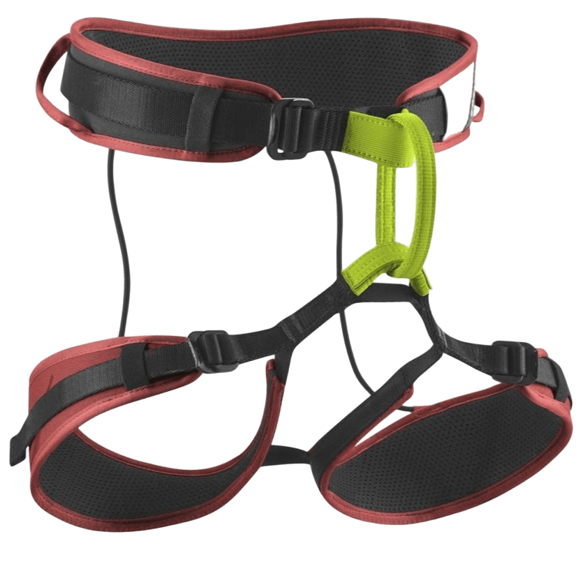 Edelrid Zack Gym II Harness
